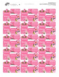 Set FLAMINGO etichete mini (60 buc.)