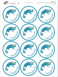 44mm FOTOSAMOLEPKA OKRAJE (12ks)