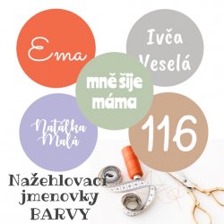 MA - Etichete cu nume TERMOADEZIVE COLORATE 22 mm (21 buc.)