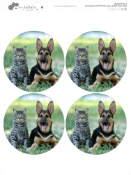 70 mm AUTOCOLANT FOTO (4 buc.)