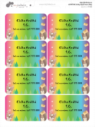 Etichete pentru ADRESĂ 66x41 mm (8 buc.)