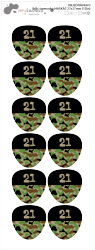 MA - jmenovky MASKÁČ 27x27mm (12ks)
