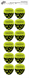 MA - jmenovky MASKÁČ 27x27mm (12ks)