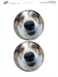 80 mm ETICHETĂ TERMOADEZIVĂ FOTO (2 buc.)