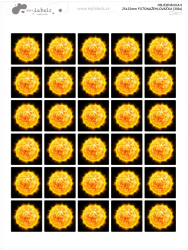 25x25mm FOTONAŽEHLOVAČKA (30ks)