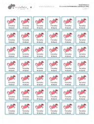 NAŽEHLOVACÍ štítky SUPERHRDINKA 22x22mm (42ks)